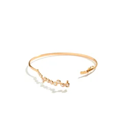Cardio bangle