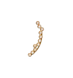 Cardio earring