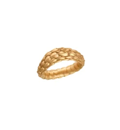 Cerberus ring