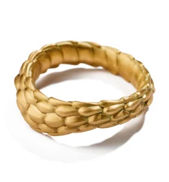 Cerberus ring