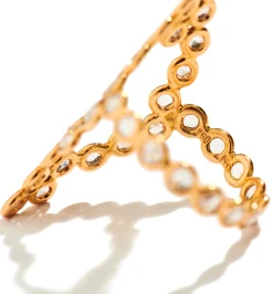 Frame ring