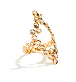 Frame ring