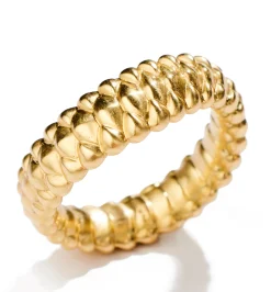 Leviathan ring