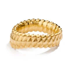 Leviathan ring
