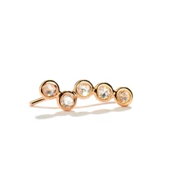 Mini cardio left earring