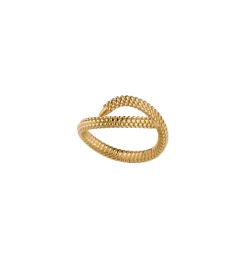 Selkies ring