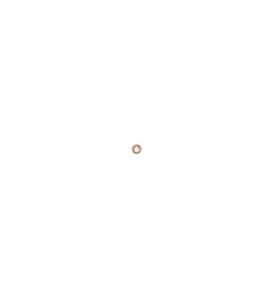 Single earring